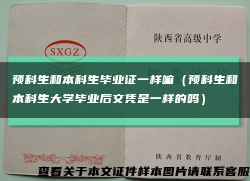 预科生和本科生毕业证一样嘛（预科生和本科生大学毕业后文凭是一样的吗）缩略图