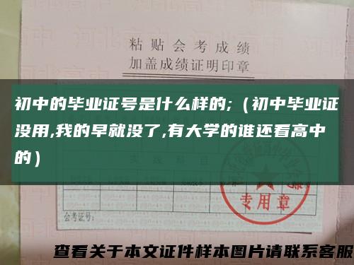 初中的毕业证号是什么样的;（初中毕业证没用,我的早就没了,有大学的谁还看高中的）缩略图