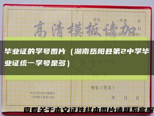 毕业证的学号图片（湖南岳阳县第2中学毕业证统一学号是多）缩略图