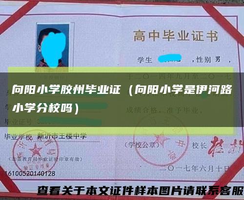 向阳小学胶州毕业证（向阳小学是伊河路小学分校吗）缩略图
