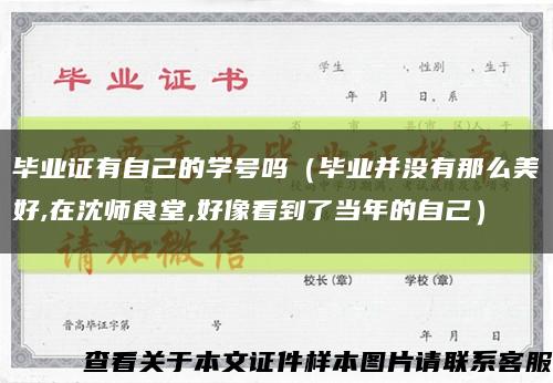 毕业证有自己的学号吗（毕业并没有那么美好,在沈师食堂,好像看到了当年的自己）缩略图