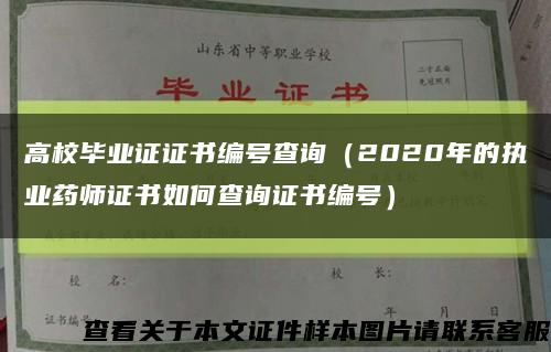 高校毕业证证书编号查询（2020年的执业药师证书如何查询证书编号）缩略图