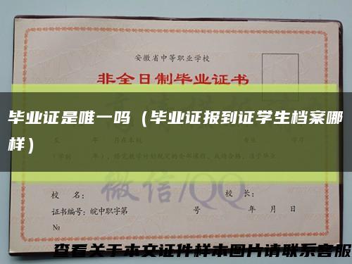 毕业证是唯一吗（毕业证报到证学生档案哪样）缩略图