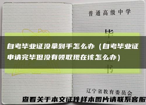自考毕业证没拿到手怎么办（自考毕业证申请完毕但没有领取现在该怎么办）缩略图