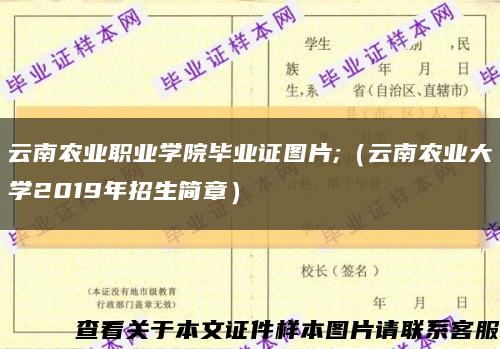 云南农业职业学院毕业证图片;（云南农业大学2019年招生简章）缩略图