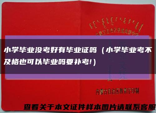 小学毕业没考好有毕业证吗（小学毕业考不及格也可以毕业吗要补考!）缩略图