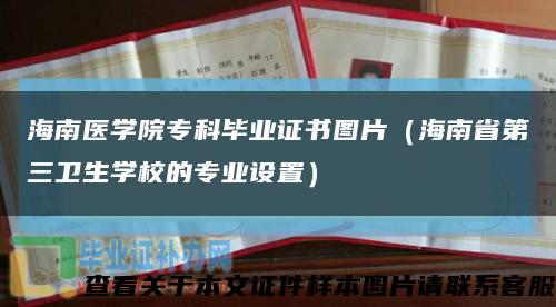 海南医学院专科毕业证书图片（海南省第三卫生学校的专业设置）缩略图
