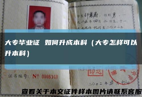 大专毕业证 如何升成本科（大专怎样可以升本科）缩略图