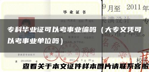 专科毕业证可以考事业编吗（大专文凭可以考事业单位吗）缩略图