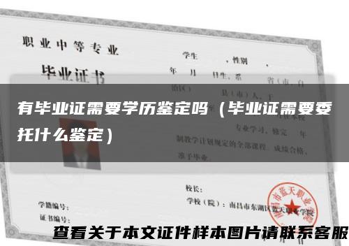 有毕业证需要学历鉴定吗（毕业证需要委托什么鉴定）缩略图