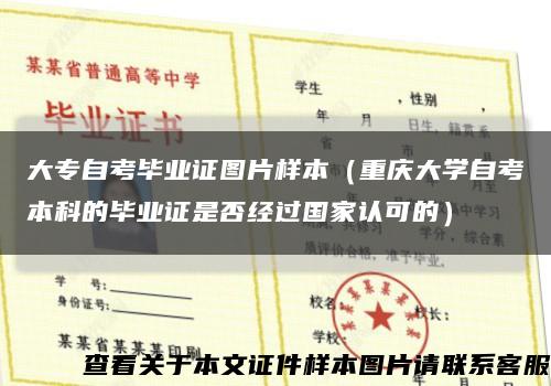 大专自考毕业证图片样本（重庆大学自考本科的毕业证是否经过国家认可的）缩略图