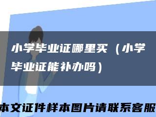 小学毕业证哪里买（小学毕业证能补办吗）缩略图