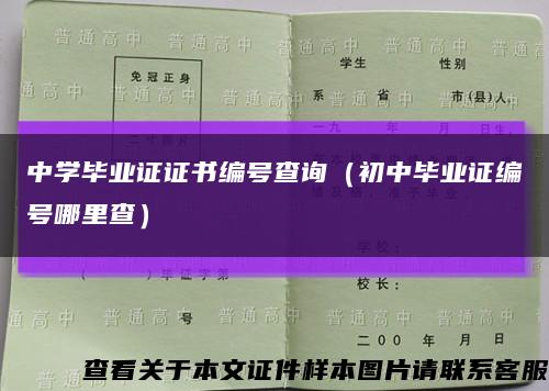 中学毕业证证书编号查询（初中毕业证编号哪里查）缩略图