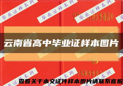 云南省高中毕业证样本图片缩略图