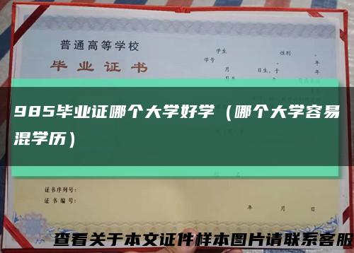 985毕业证哪个大学好学（哪个大学容易混学历）缩略图