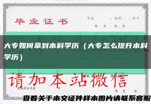 大专如何拿到本科学历（大专怎么提升本科学历）缩略图
