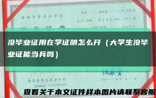 没毕业证用在学证明怎么开（大学生没毕业证能当兵吗）缩略图