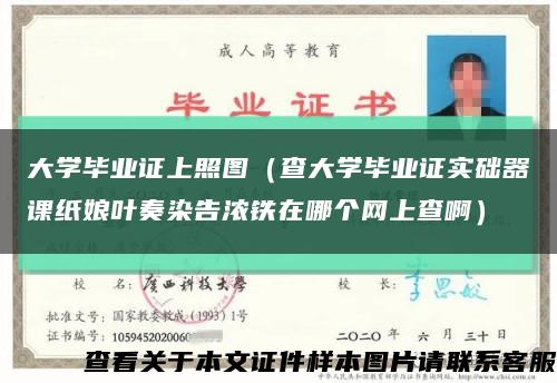大学毕业证上照图（查大学毕业证实础器课纸娘叶奏染告浓铁在哪个网上查啊）缩略图