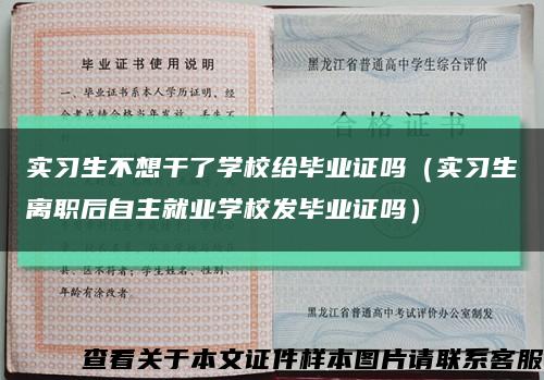 实习生不想干了学校给毕业证吗（实习生离职后自主就业学校发毕业证吗）缩略图