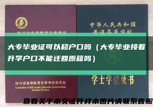 大专毕业证可以移户口吗（大专毕业接着升学户口不能迁回原籍吗）缩略图