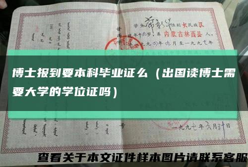 博士报到要本科毕业证么（出国读博士需要大学的学位证吗）缩略图