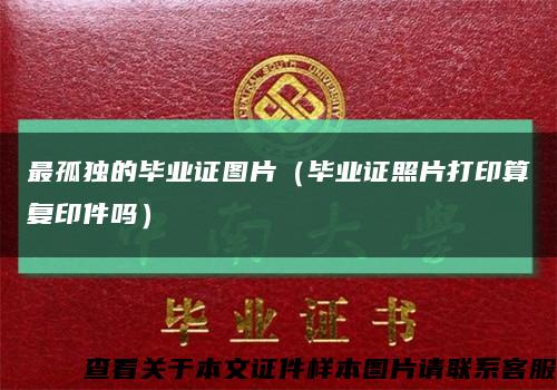 最孤独的毕业证图片（毕业证照片打印算复印件吗）缩略图