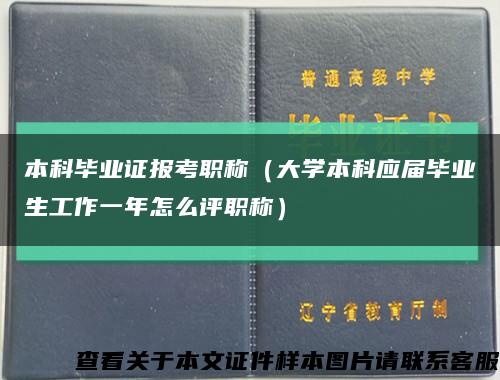 本科毕业证报考职称（大学本科应届毕业生工作一年怎么评职称）缩略图