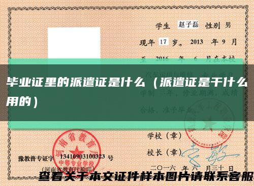 毕业证里的派遣证是什么（派遣证是干什么用的）缩略图