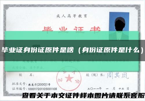 毕业证身份证原件是啥（身份证原件是什么）缩略图