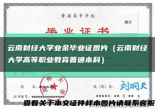 云南财经大学业余毕业证图片（云南财经大学高等职业教育普通本科）缩略图