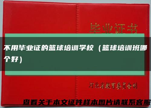 不用毕业证的篮球培训学校（篮球培训班哪个好）缩略图