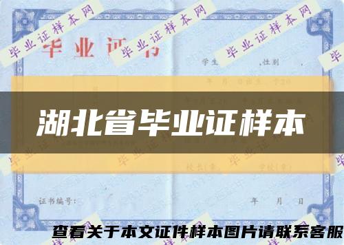 湖北省毕业证样本缩略图