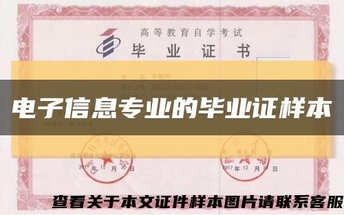 电子信息专业的毕业证样本缩略图