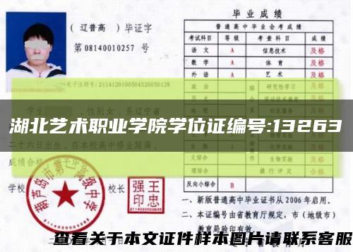 湖北艺术职业学院学位证编号:13263缩略图