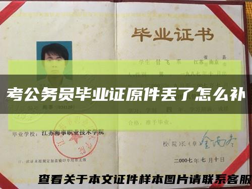 考公务员毕业证原件丢了怎么补缩略图