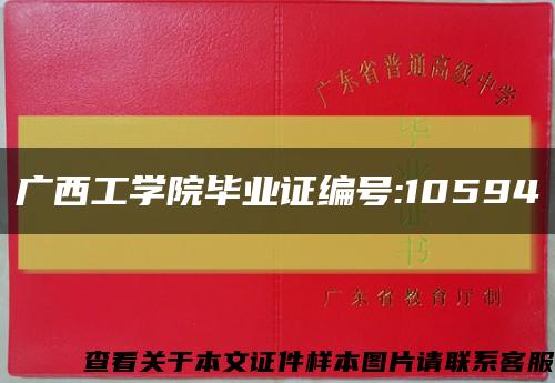 广西工学院毕业证编号:10594缩略图