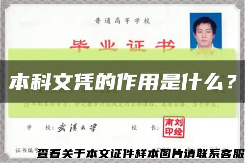 本科文凭的作用是什么？缩略图