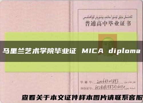 马里兰艺术学院毕业证 MICA diploma缩略图