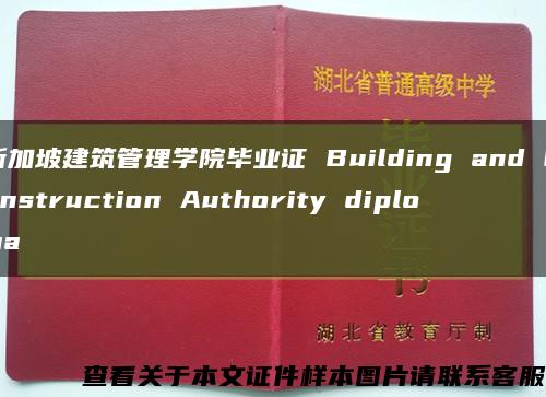 新加坡建筑管理学院毕业证 Building and Construction Authority diploma缩略图