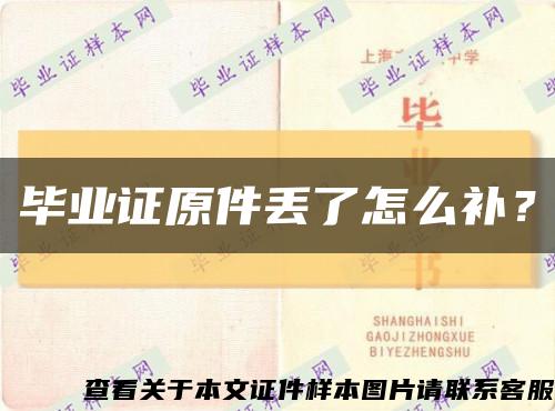 毕业证原件丢了怎么补？缩略图