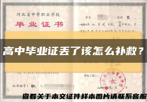 高中毕业证丢了该怎么补救？缩略图