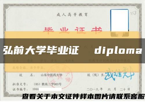 弘前大学毕业证  diploma缩略图