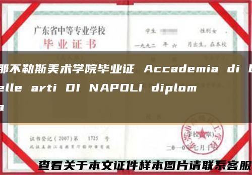 那不勒斯美术学院毕业证 Accademia di belle arti DI NAPOLI diploma缩略图