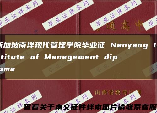 新加坡南洋现代管理学院毕业证 Nanyang Institute of Management diploma缩略图