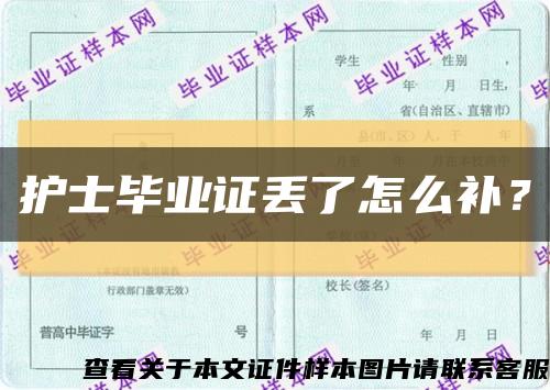 护士毕业证丢了怎么补？缩略图