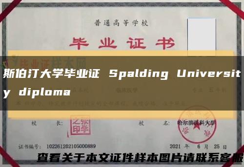斯伯汀大学毕业证 Spalding University diploma缩略图