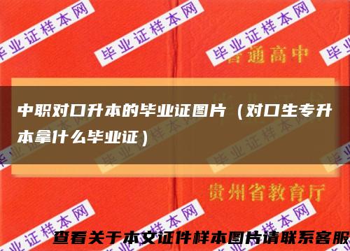 中职对口升本的毕业证图片（对口生专升本拿什么毕业证）缩略图