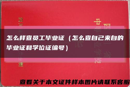 怎么样查员工毕业证（怎么查自己来自的毕业证和学位证编号）缩略图