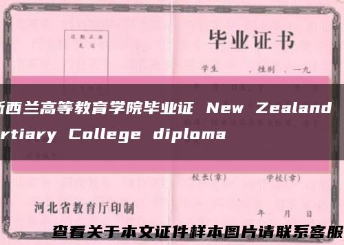 新西兰高等教育学院毕业证 New Zealand Tertiary College diploma缩略图
