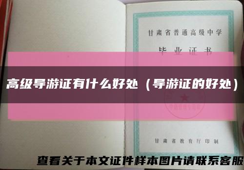 高级导游证有什么好处（导游证的好处）缩略图